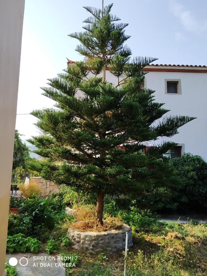 Appartement Magdalini Anaxos