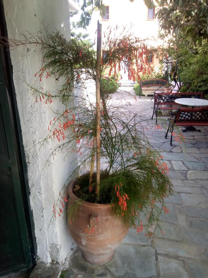 Magdalini Appartement Anaxos